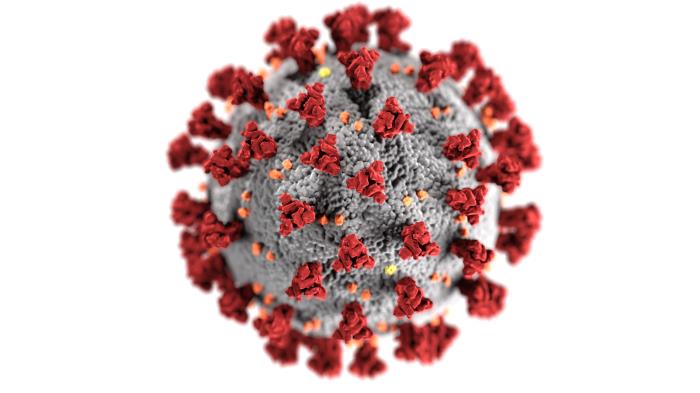 According to the CDC, the COVID-19 virus has effected people across the U.S. however, Bishop Miege has maintained to keep the cases contained. 

Credit: https://phil.cdc.gov/Details.aspx?pid=23311