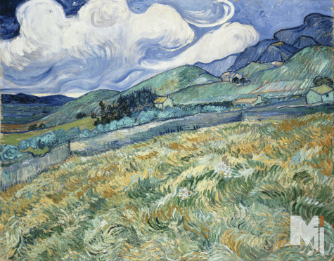 One of Van Goghs iconic paintings, Landscape from Saint-Remy was featured in the Van Gogh Alive exhibit. 