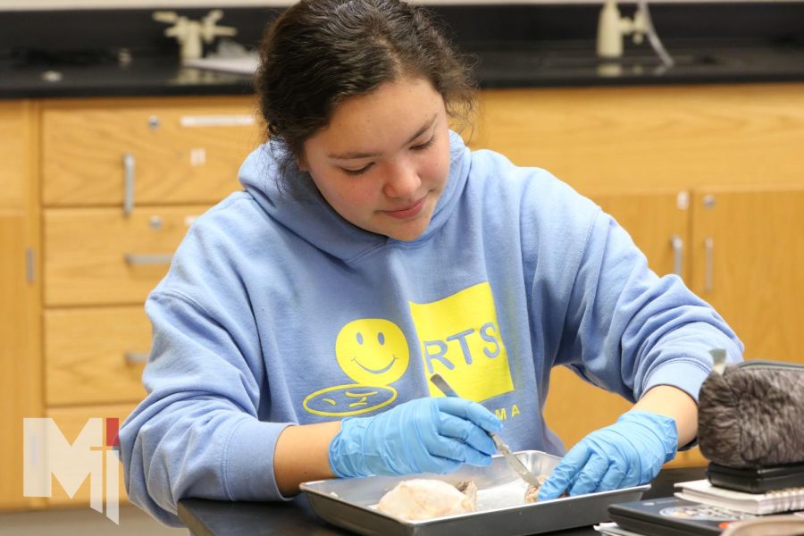 While learning to dissect in human anatomy and physiology class, senior Olivia Cerda cuts open a sheep brain. “All the information we learned the weeks before and actually visualizing it and being able to see it and touch it and getting the hands-on experience was really cool,” Cerda said.