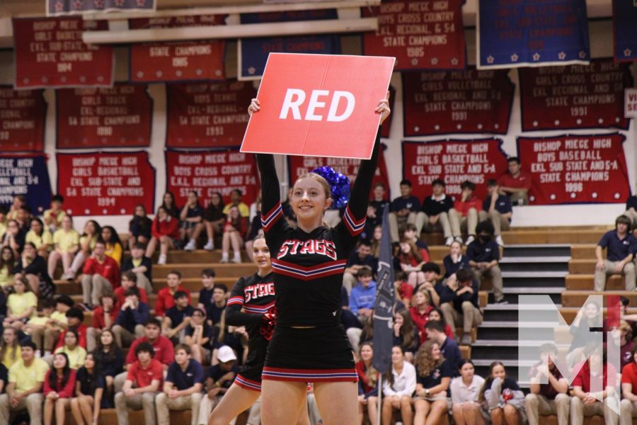 Holding a spirit sign, junior Ainsley Murray smiles at the crowd while participating in a cheer. The pep assembly hosted on Nov. 11 celebrated the boys soccer teams win at state, as well as the cheer and dance teams.