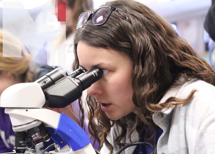 Leading her class in lab, student teacher Emily Knaus looks for cells on Feb. 2. Knaus assists all AP Biology, Principles of Biomedical Science and honors freshman biology. “I am an outsider, so I need to learn how to build support with my students,” Knaus said.