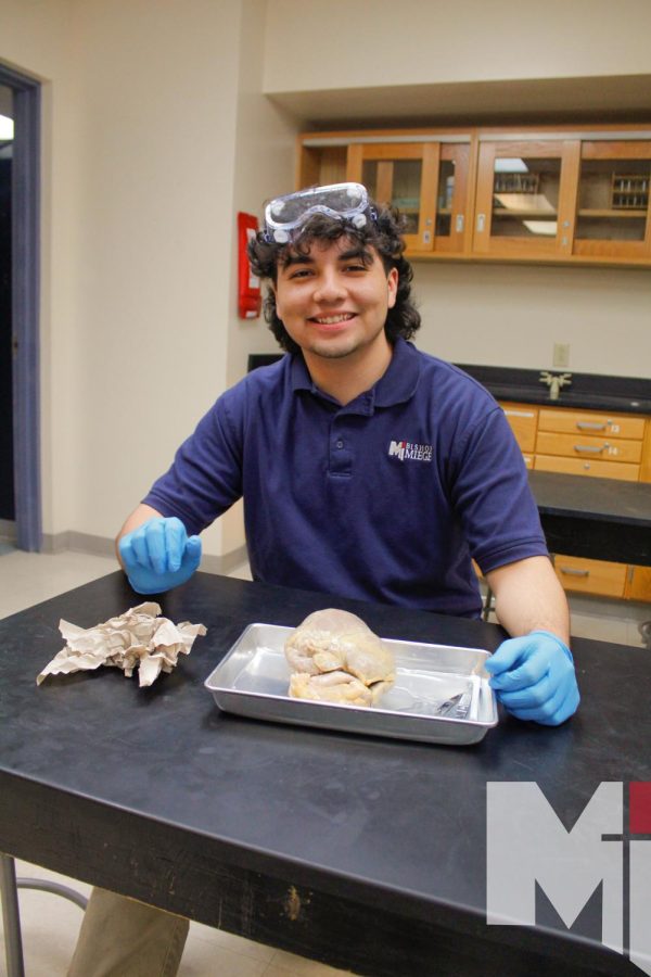 Before dissecting his pig heart, senior Alejandro Silva poses for a picture.This is Silva’s first year taking Anatomy. “I took it cause it sounded fun,” Silva said. “There’s a lot of work but it all pays off when we do fun things like this”
