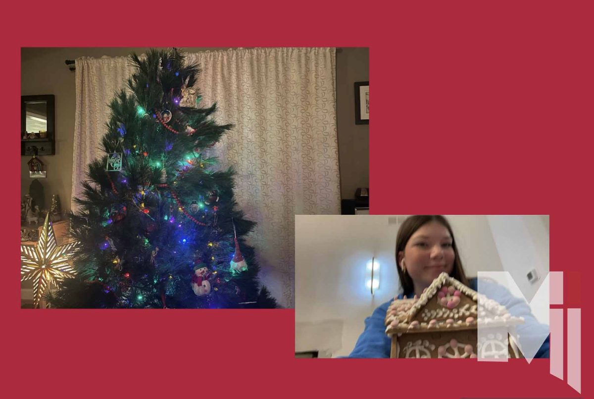 Freshman Betsy O'Dea gets ready for Christmas by decorating the tree and gingerbread houses. 