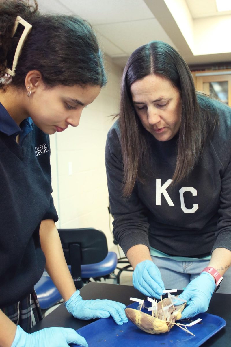 PLTW teacher Mary Beth Summers works side-by-side with freshman Alaina Schroeter during a sheep heart dissection, guiding hands-on learning and curiosity about biology. “I was really scared I was going to cut the wrong area with Mrs. Summers right next to me,” Schroeter said. “I was grateful to see what the heart actually looks like, how the two sides are different and to learn something new.”
